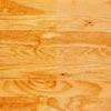 southern yellow pine